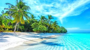 caraibi